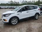 2019 Ford Escape S