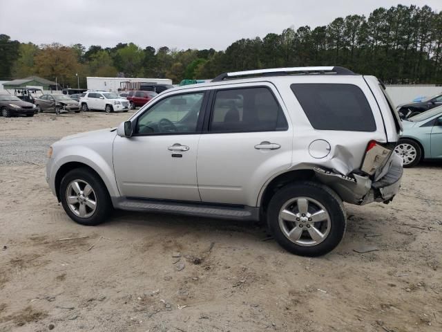 2010 Ford Escape Limited