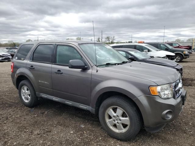 2010 Ford Escape XLS