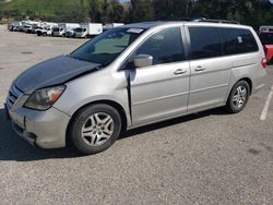 Salvage cars for sale at Van Nuys, CA auction: 2005 Honda Odyssey EXL