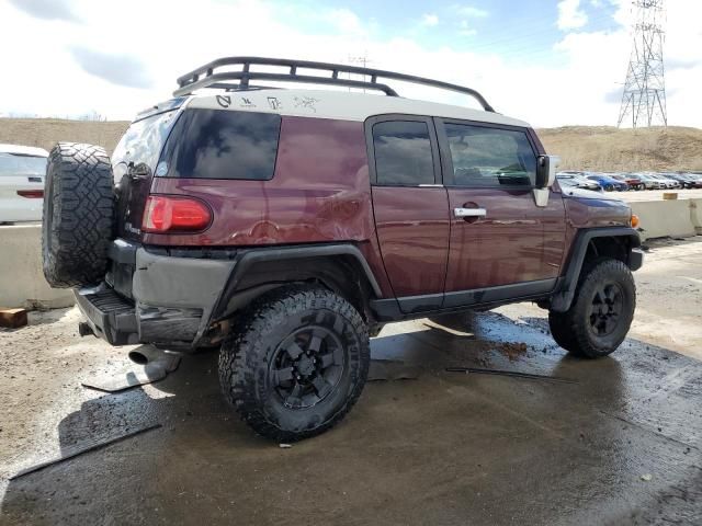 2007 Toyota FJ Cruiser