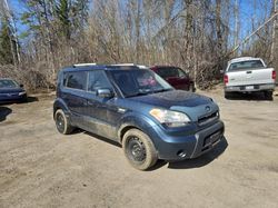 Compre carros salvage a la venta ahora en subasta: 2011 KIA Soul +