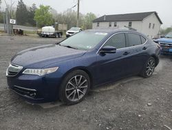 Salvage cars for sale at York Haven, PA auction: 2015 Acura TLX Advance
