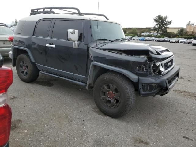 2007 Toyota FJ Cruiser