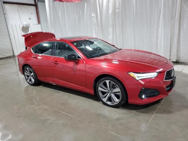 2021 Acura TLX Advance