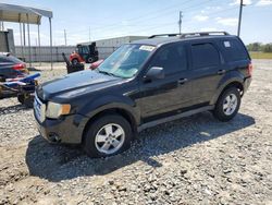Salvage cars for sale at Tifton, GA auction: 2011 Ford Escape XLT