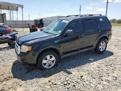 Ford Escape xlt salvage cars for sale: 2011 Ford Escape XLT