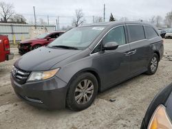 Salvage cars for sale at Lansing, MI auction: 2014 Honda Odyssey EXL