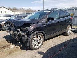 Salvage cars for sale at York Haven, PA auction: 2013 Ford Escape SEL