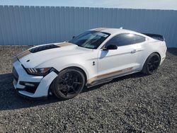 Salvage cars for sale at Fredericksburg, VA auction: 2022 Ford Mustang Shelby GT500