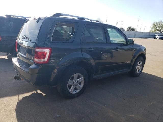 2008 Ford Escape HEV