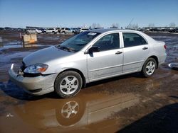 Salvage cars for sale at Rocky View County, AB auction: 2008 Toyota Corolla CE