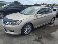 Salvage cars for sale at Orlando, FL auction: 2013 Honda Accord EXL