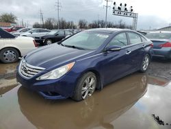 Salvage cars for sale at Columbus, OH auction: 2013 Hyundai Sonata SE