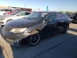 Salvage cars for sale from Copart Grand Prairie, TX: 2013 Toyota Camry L