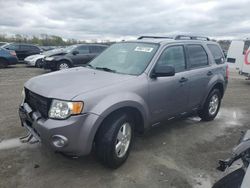 Ford Escape XLT salvage cars for sale: 2008 Ford Escape XLT