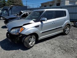 Salvage cars for sale from Copart Albany, NY: 2011 KIA Soul +