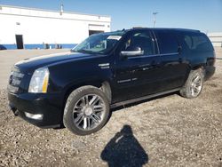 Cadillac Vehiculos salvage en venta: 2014 Cadillac Escalade ESV Premium