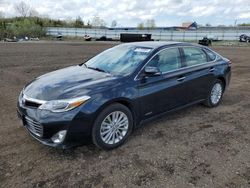 Salvage cars for sale from Copart Columbia Station, OH: 2015 Toyota Avalon Hybrid