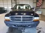 2004 Dodge Dakota SXT