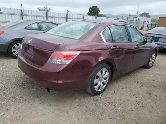 2010 Honda Accord EXL