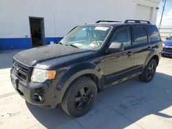 Ford Escape XLT salvage cars for sale: 2008 Ford Escape XLT