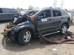 Salvage vehicles for parts for sale at auction: 2010 Honda CR-V EXL