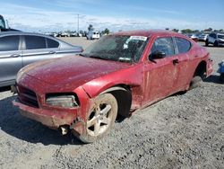 Dodge salvage cars for sale: 2009 Dodge Charger