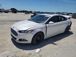 Salvage cars for sale at Arcadia, FL auction: 2016 Ford Fusion SE