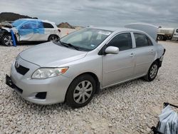 Salvage cars for sale from Copart New Braunfels, TX: 2010 Toyota Corolla Base