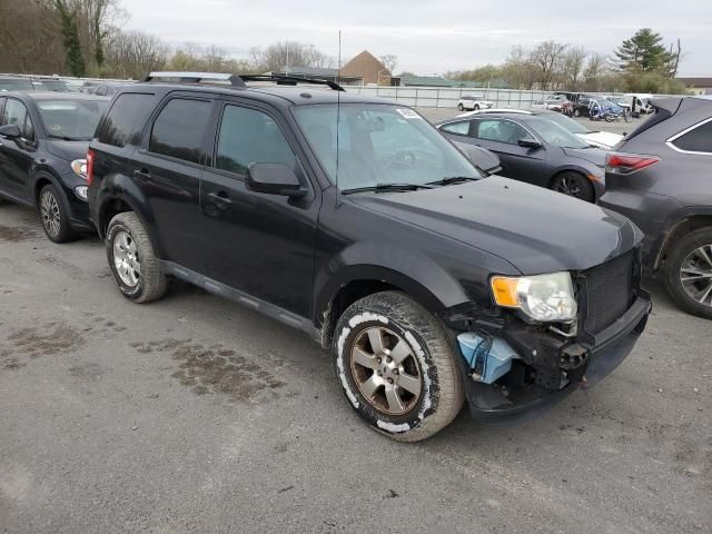 2011 Ford Escape Limited