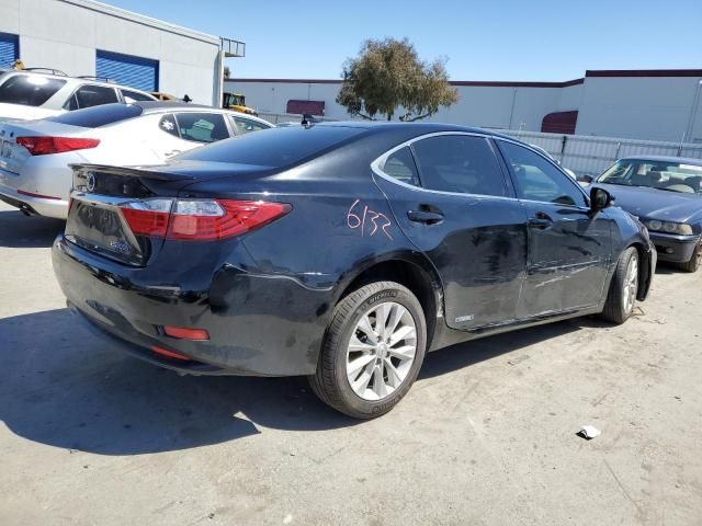 2013 Lexus ES 300H