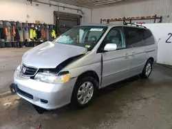 Salvage cars for sale at Candia, NH auction: 2004 Honda Odyssey EXL