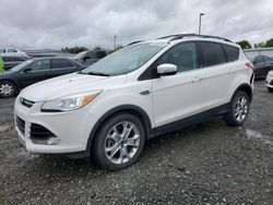 Salvage cars for sale from Copart Sacramento, CA: 2013 Ford Escape SEL