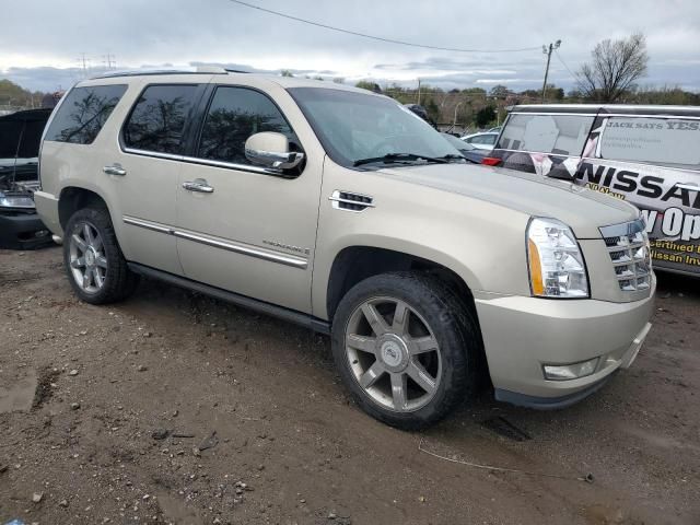 2008 Cadillac Escalade Luxury