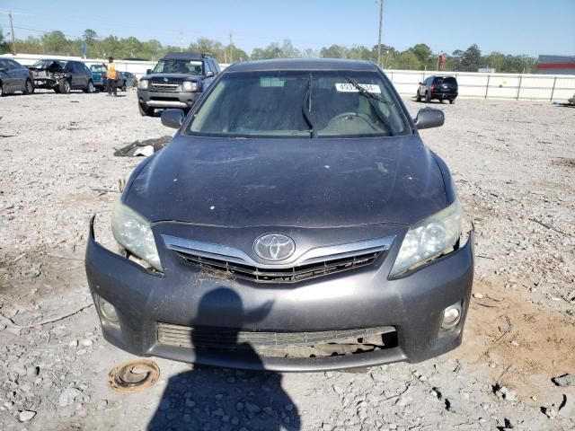 2010 Toyota Camry Hybrid