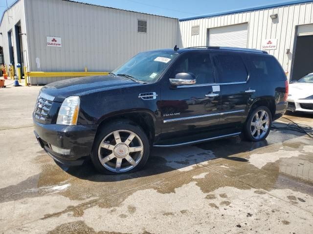 2012 Cadillac Escalade Luxury