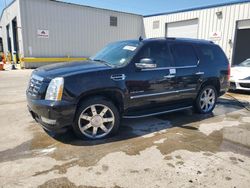 Salvage cars for sale from Copart New Orleans, LA: 2012 Cadillac Escalade Luxury