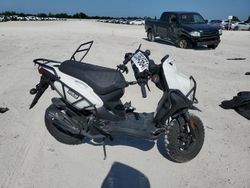 Salvage motorcycles for sale at Arcadia, FL auction: 2024 Genuine Scooter Co. Roughhouse 50