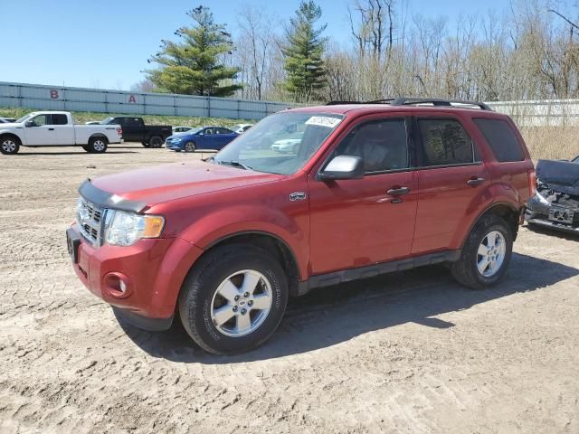 2012 Ford Escape XLT