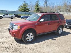 Vehiculos salvage en venta de Copart Davison, MI: 2012 Ford Escape XLT