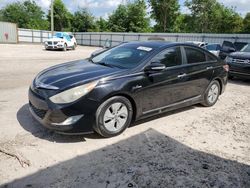 Salvage cars for sale from Copart Midway, FL: 2013 Hyundai Sonata Hybrid