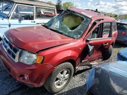 Salvage cars for sale at Grantville, PA auction: 2008 Ford Escape XLT