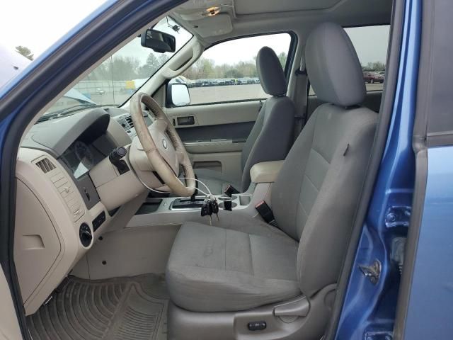 2009 Ford Escape XLT