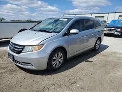 Honda Odyssey EX Vehiculos salvage en venta: 2015 Honda Odyssey EX