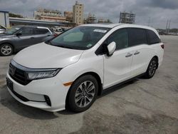 Salvage cars for sale from Copart New Orleans, LA: 2023 Honda Odyssey EXL