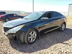 Salvage cars for sale at Phoenix, AZ auction: 2013 Hyundai Sonata SE