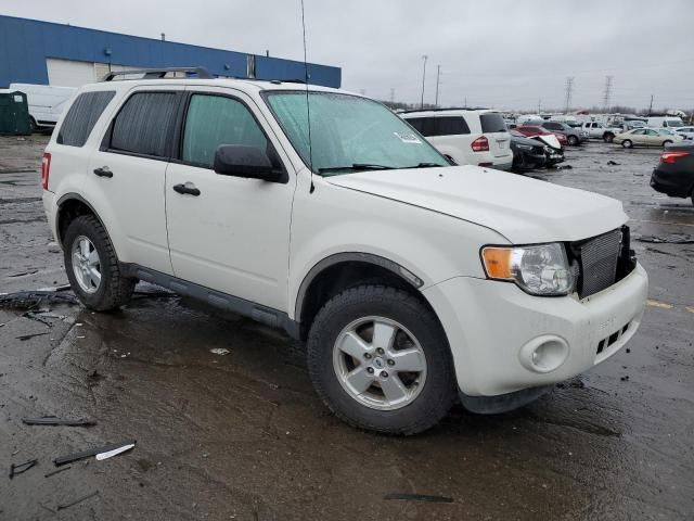 2010 Ford Escape XLT