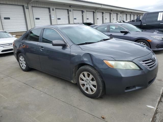 2009 Toyota Camry Hybrid