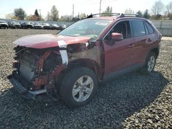 Toyota Rav4 salvage cars for sale: 2021 Toyota Rav4 LE